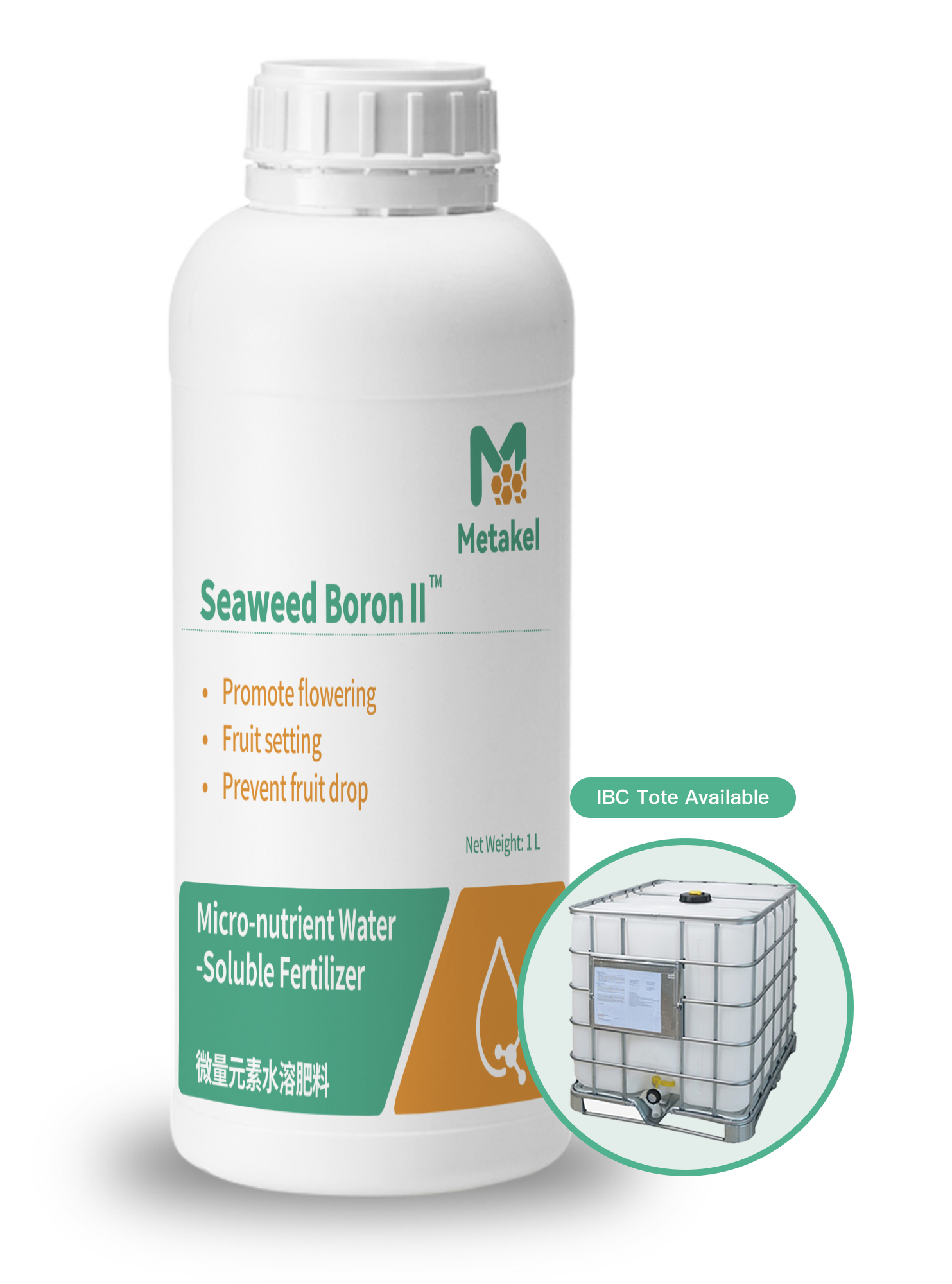 Seaweed Boron II